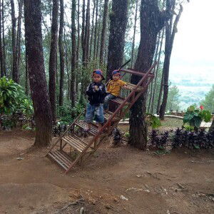 Amsal Siahaan profile icon