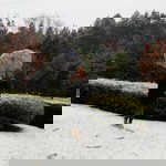 Titainium 05 profile icon