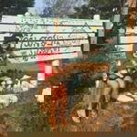 ณิชานาฎ ชูราศรี profile icon