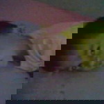 Dhedhe Uanz profile icon