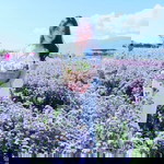 Kamonchanok Nok profile icon