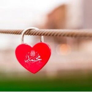 putra ulilalbab profile icon