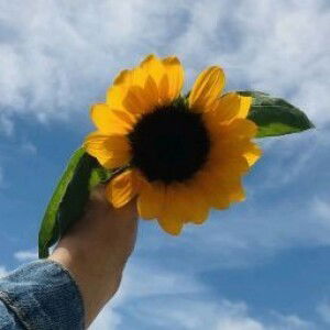 Jenifer Paula profile icon