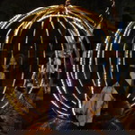 Rozien Thea profile icon