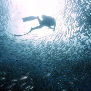 Anya De Los Santos profile icon