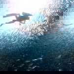 Anya De Los Santos profile icon