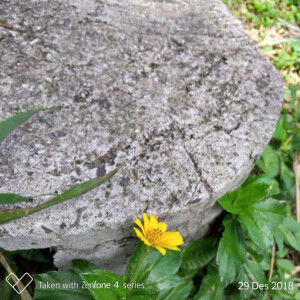 Ika widyaningsih ermawati profile icon