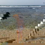 debby virginia profile icon