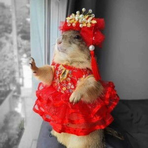 Thị Oanh profile icon