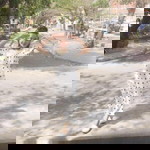 ประพิชญาร์ กรุณา profile icon