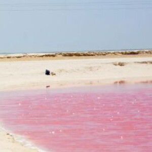 cindy Atika profile icon