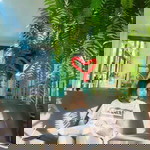 Lookjeab Nutpatsorn profile icon