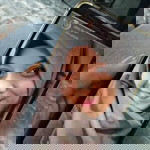 Nuri Asr profile icon