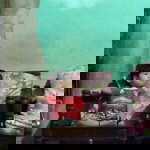 Inna Lyna profile icon