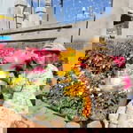 Chimi Chimi profile icon