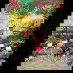 Amanda Eka Oktaviani profile icon