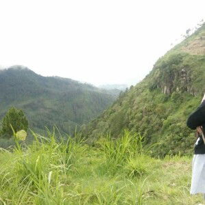 Tantri Noviyanti profile icon