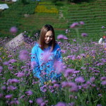 Lin Linny profile icon