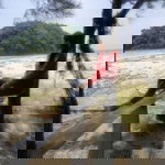 Shia Donatus profile icon