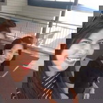 Angelu Jimenez Capino profile icon