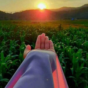 Titik Setyowati profile icon