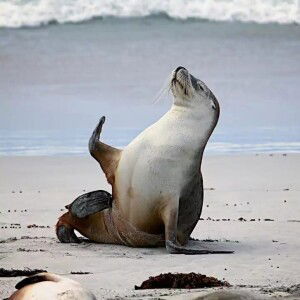 Jaina Louise Aron Ayag profile icon