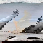 Jaina Louise Aron Ayag profile icon