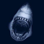 Ah Moy profile icon