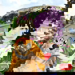 Ives and Ryl profile icon