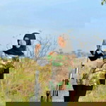 Fha Emon profile icon