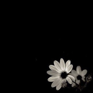 Na Yhen profile icon