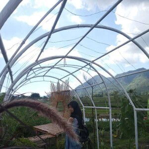 Fiedha Fiedha profile icon