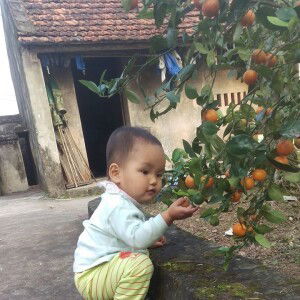 Phố Không Mùa profile icon