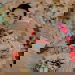 Elina Kasih profile icon