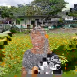 AJ Vicente profile icon