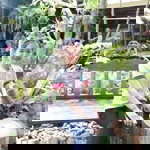 แอน นี่ profile icon