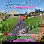 Pattamawan Bunphut profile icon