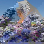 Chinjung Chinbanchon profile icon