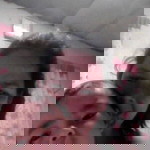 Daan Bacus Joan profile icon