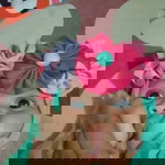 Rina Syh profile icon