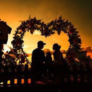 Vana falyn profile icon