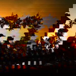 Vana falyn profile icon