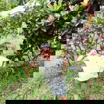 Beatrice Hope Ybanez Puringuez profile icon