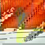 Mae Del Rosario profile icon