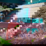 Ayu Safitri profile icon