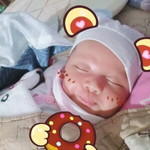Phan Ánh profile icon