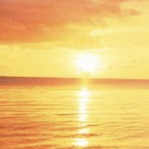 kurnia sari profile icon