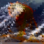 Nasoe Tion profile icon