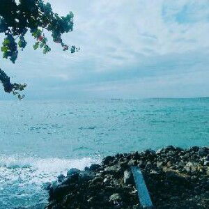 Hilal Aisha profile icon