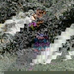 Wan Khairri profile icon